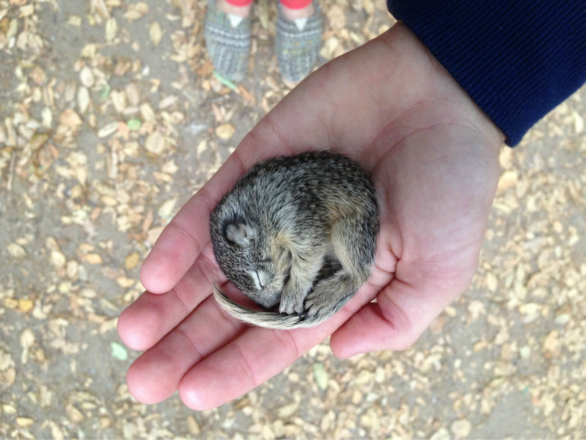 He Was Found Freezing To Death. Yet Somehow The Last Photo Made My Day